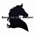 Brave and Bold academy