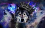 !!ALPHA ARMY!!