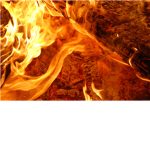 Flame Warriors 2.0