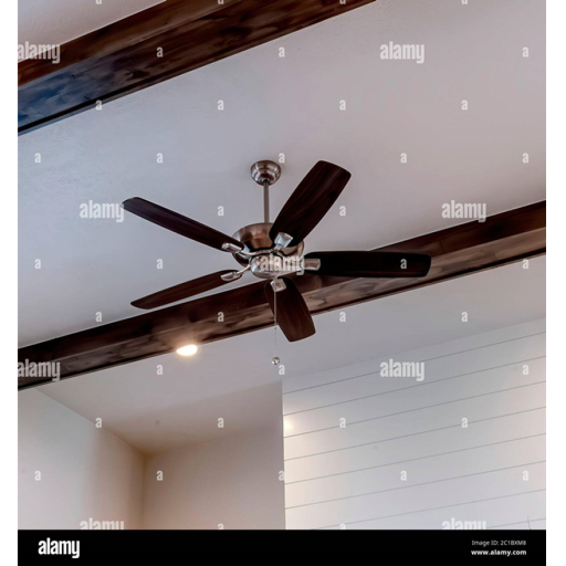 Ceiling fan city