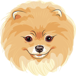 The Pom Squad:)