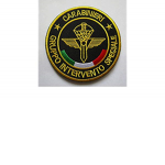 G.I.S forces