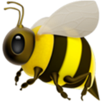 king bee and queen bee squad