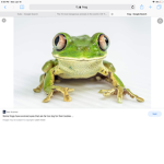 FROGGY cave