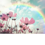 DREAM ROBLOX MAKE YOUR DREAM TRUE