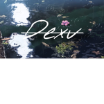 本Dexv
