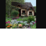 Cosy Cottages