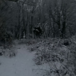 Snowy Death