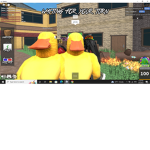 Pro Gamers ####