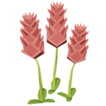 Spring Flowers :D