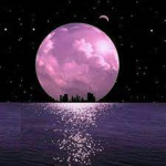 Moonlit Clothes