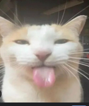 I'm so beautiful