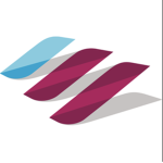 One airline