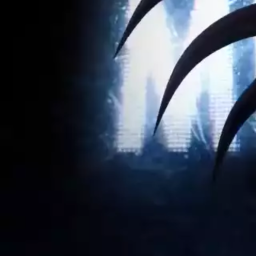 ° ｡⋆༺♥༻⋆ ｡°