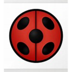 Miraculous: Tales of Ladybug and Cat Noir Fans