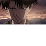 Levi Support