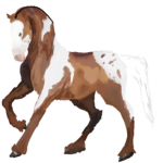 EE - Equestrian Elite