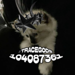 彡TraceGods