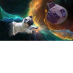 Doggie Dog Empire