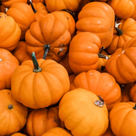 Crazy pummpkin