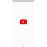 Fan off youtubers army