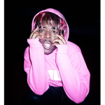 Lil Uzi Fam