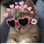 Random_Edits._. Pookies <3
