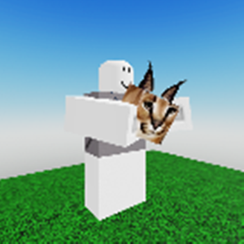 Find the floppas (update after 11 months)