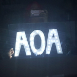 AOA Group