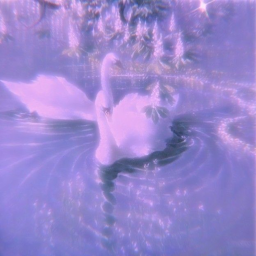 𝑭𝒐𝒓𝒆𝒗𝒆𝒓