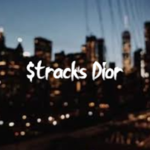 $tracks Dior
