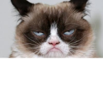 grumpy...