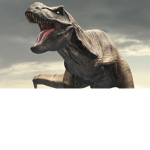 thedinosur fan group