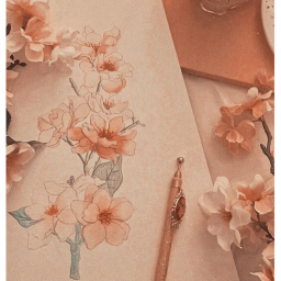 𝒴