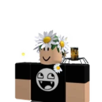 | HD Admin Studios |
