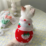 PurrPassion