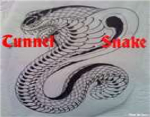 Tunnel Snakes RULE!