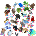 The Official animal fan group :D