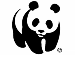 Panda Meeting Center!