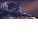 Fleeting Pack