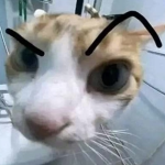 Pluto’s Buff Cats