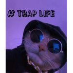 #Trap Life