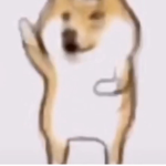 CHAPAXFRUD
