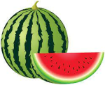 -Watermelon_Group-