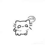 koko(Coco)