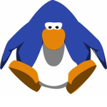 cool penguin club