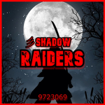 彡Shadow Raiders