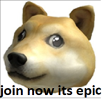The Dogo Gang