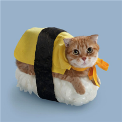 Cat Roblox decal