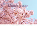 Cutiebears merch
